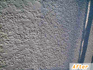 ���ʁ@�X�^�b�R