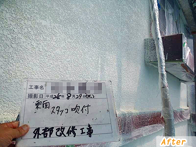 ���ʁ@�X�^�b�R�����t��