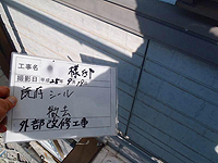 �����V�[�����O�ޓP��