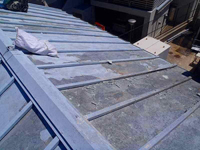 ���n�����i�P������ƁE���̑��򉻕����̏����j