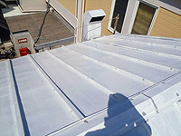 �B���V�[������