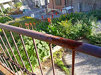 �萠�蕅�H�i�s��