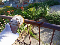 �Q��P�������