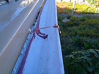 ���ԏ����