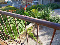 ���ԏꂻ�̑����