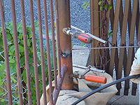 ���ԏꂻ�̑����