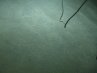 �P�����A���|