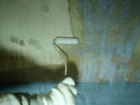 �V�[���[�h�z