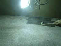 �V�[���[�h�z