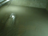 �G�|�����R�e�h��