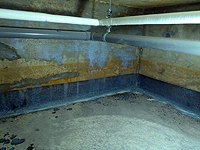 �n�������w�s�b�g���{�H�O