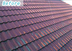 ����ݒu��̌���