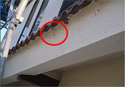 ����󂯋���ؒf