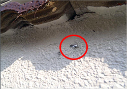 ����󂯋���ؒf��