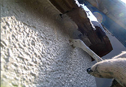 �h�K����