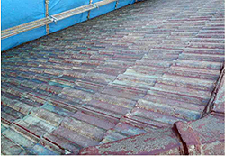 �v���C�}�[����