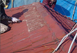 ���j�G���������h���̔������