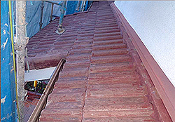 ���j�G���������h���̔������