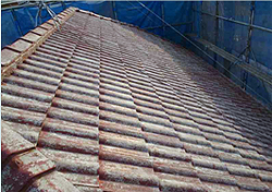 ������򊮗�