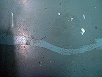 �R�[�L���O����