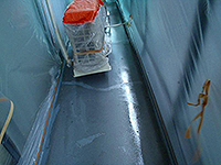 �v���C�}�[����