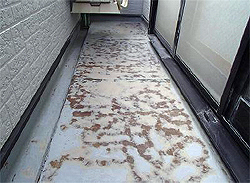 �N���[�j���O