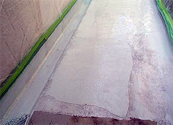 �v���C�}�[����