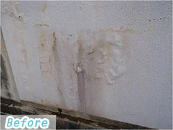 �h���̖c��