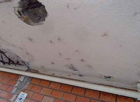 �P����R���N���[�g���G��F�����݂������N���B�����F�T�����[�t�㕔�̃p���y�b�g�����ɂЂъ���Ă��肻�̉ӏ�����N���@�R���N���[�g�̊����F