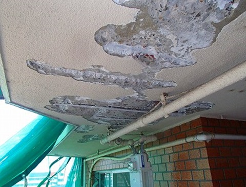 ���������^������