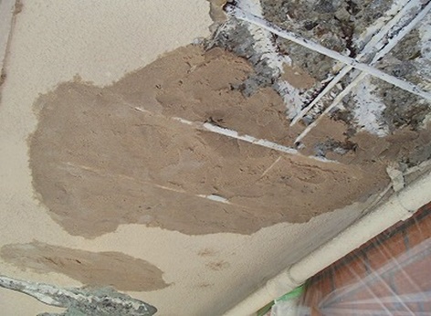 ���������^������