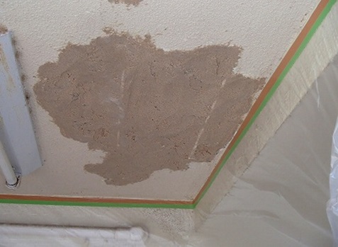 ���������^������