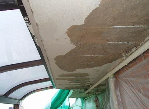 �������Ă���̌�{�H