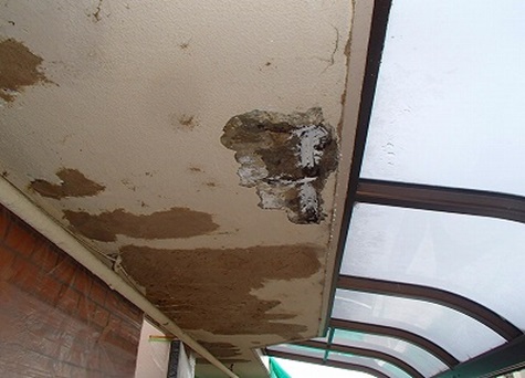 �������Ă���̌�{�H