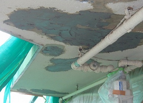 �������Ă���̌�{�H