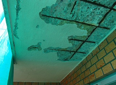 �x�����_�� ���̐�������Ă��邪�K���������̉\�����������̂Ńx�����_���ɗ��߂��B