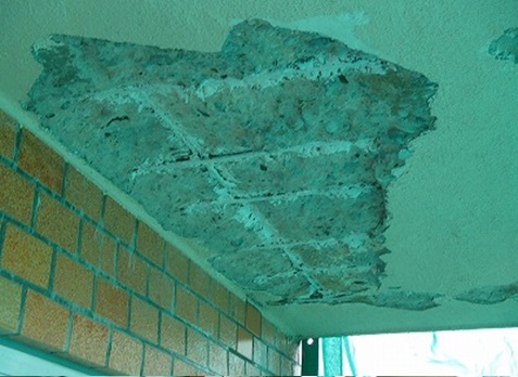 ���j�G�|�h�z