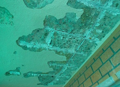 ���j�G�|�h�z