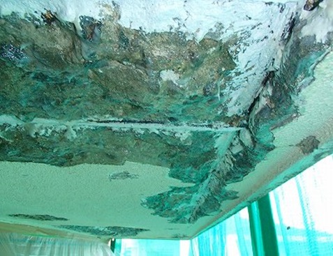 ���j�G�|�h�z�i��ײϰ�j