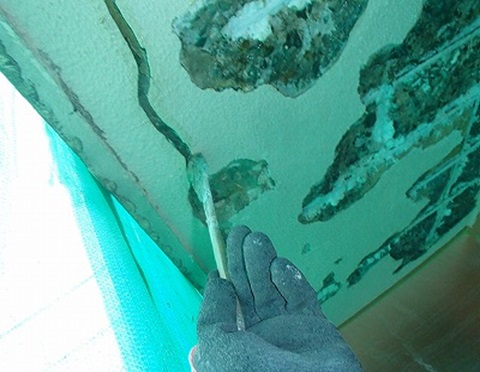 ���ꕔ�ʐ؂荞�݌テ�j�G�|����