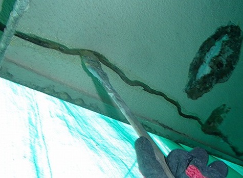 ���ꕔ�ʐ؂荞�݌テ�j�G�|����