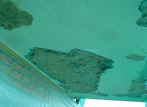 ���������^������