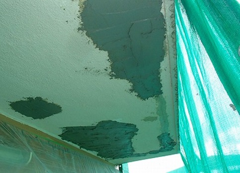 �u�o�Z�����g�����^�������i�J�[�{���Z�����g�j