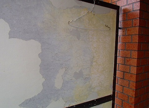 �p�[�e�[�V�����P����