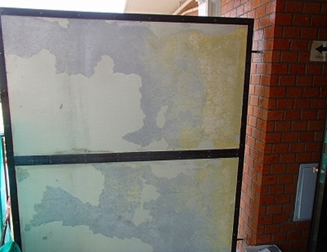 �V�[���[����