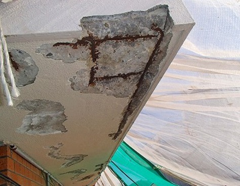 �����̋��p�V��ɍ��������蕂���Ă��������̓��H�ɗ������S�z�������̂ŋ����I�ɃJ�b�^�[�ŉ��؂�������B