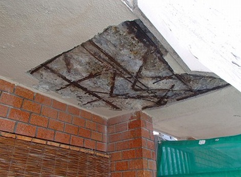 �����̋��p�V��ɍ��������蕂���Ă��������̓��H�ɗ������S�z�������̂ŋ����I�ɃJ�b�^�[�ŉ��؂�������B