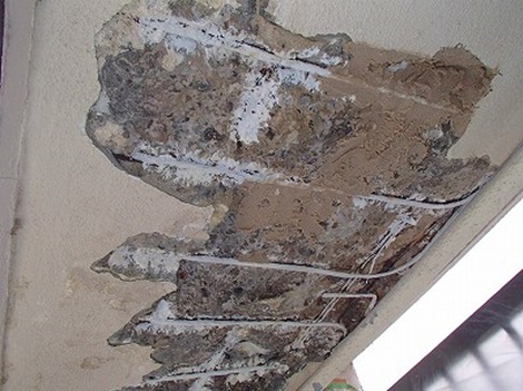 �I�ؕ��P�����A�h�K��������������^��������