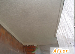 ���s���ɐ�@�d�}���V�����@�O�ǖk���x�����_�@���C��