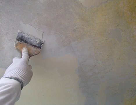 ���ʕs������